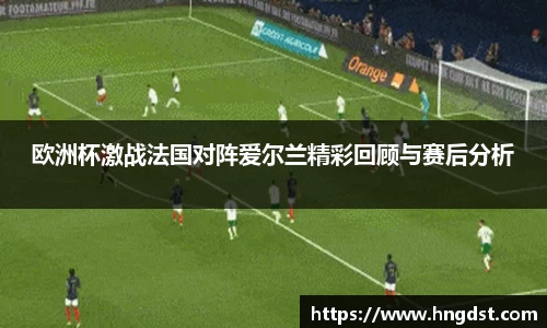 欧洲杯激战法国对阵爱尔兰精彩回顾与赛后分析